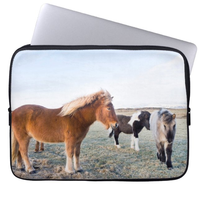 Housse Pour Ordinateur Portable Cheval islandais en hiver en Islande (Devant)