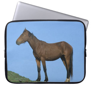 Housse Pour Ordinateur Portable Cheval sauvage de mustang