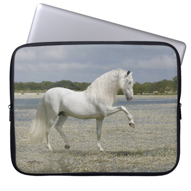 Housse Pour Ordinateur Portable Chevaux d'imaginaire : Seigneur du lac (Devant)