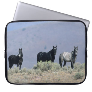 Housse Pour Ordinateur Portable Chevaux sauvages de mustang dans le désert 3