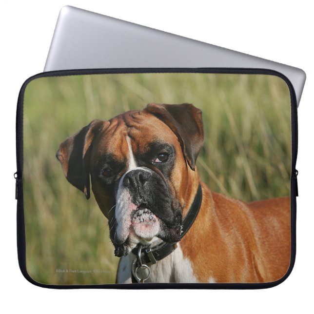 Housse Pour Ordinateur Portable Chien de boxeur regardant fixement (Devant)