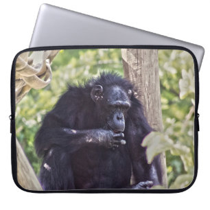Housse Pour Ordinateur Portable Chimpanzé