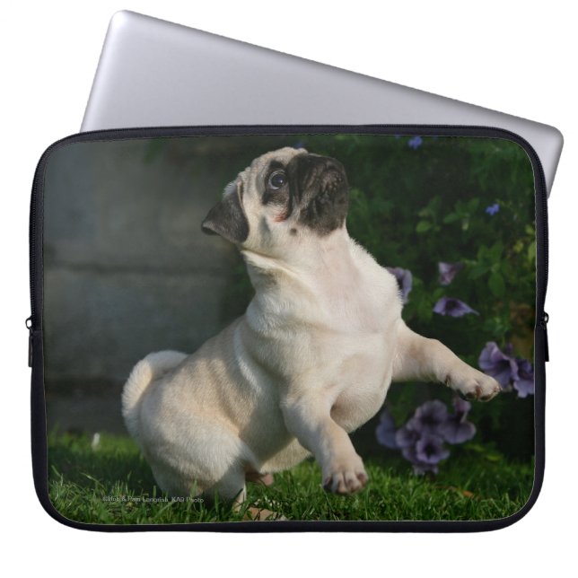 Housse Pour Ordinateur Portable Chiot de carlin de faon (Devant)