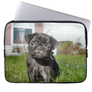 Housse Pour Ordinateur Portable Chiot en Carlin noir