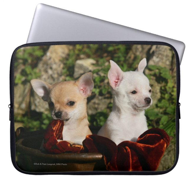 Housse Pour Ordinateur Portable Chiots de chiwawa (Devant)