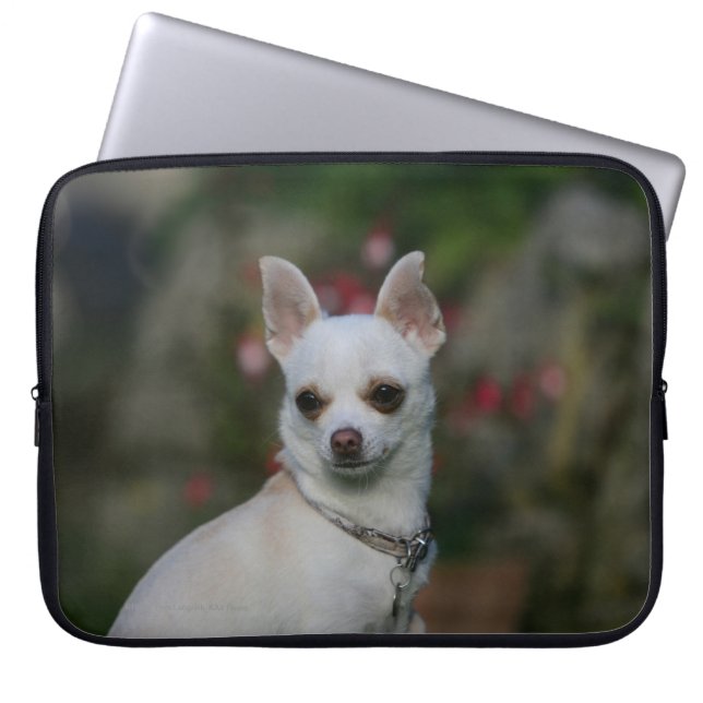 Housse Pour Ordinateur Portable Chiwawa blanc (Devant)