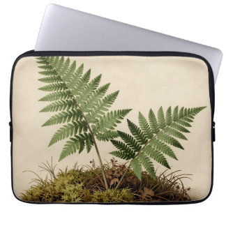 Housse Pour Ordinateur Portable Classic Fern Botanical