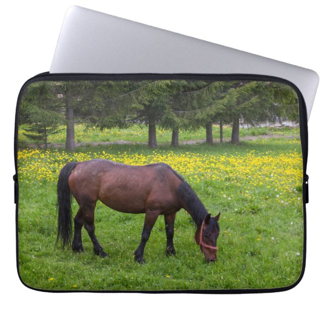 Housse Pour Ordinateur Portable Col Tihuta, Cheval dans le Pasture (Devant)