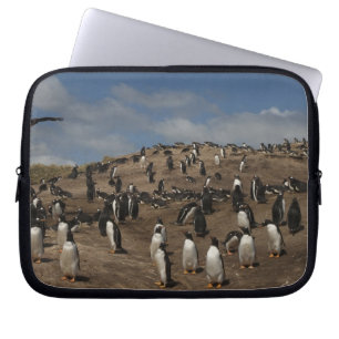 Housse Pour Ordinateur Portable Colonie de manchots papous (Pygoscelis papua) sur