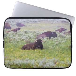 Housse Pour Ordinateur Portable Coque d'ordinateur portable Bison Dream