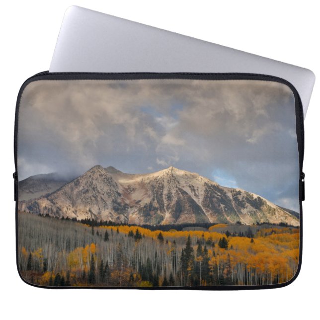 Housse Pour Ordinateur Portable Couleurs d'automne des peupliers trembles, Keebler (Devant)