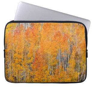 Housse Pour Ordinateur Portable Couleurs d'automne sur les bosquets de trembles