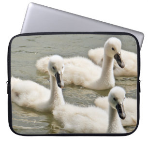 Housse Pour Ordinateur Portable Cygnets de cygne nager