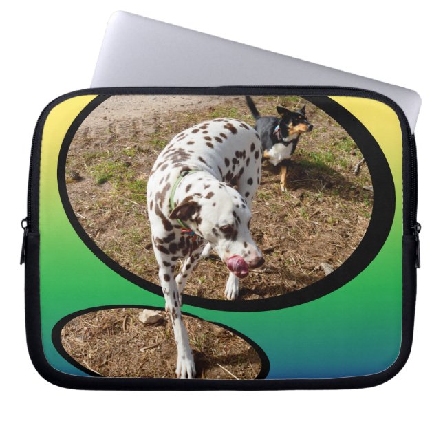 Housse Pour Ordinateur Portable Dalmatien Sortant Du Cadre De Fenêtre, (Devant)
