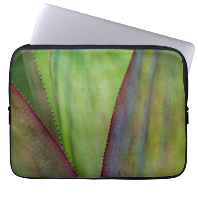Housse Pour Ordinateur Portable Détail du Plante Agave (Devant)