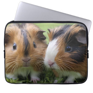 Housse Pour Ordinateur Portable Deux bébés cochons de Guinée Tortoiseshell,