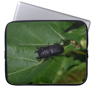 Housse Pour Ordinateur Portable Dorcus parallelipipedus, le moindre dendroctone du