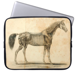 Housse Pour Ordinateur Portable Douille d'ordinateur portable d'anatomie de cheval
