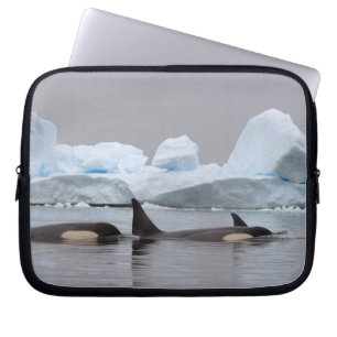 Housse Pour Ordinateur Portable épaulards (orques), Orcinus orca, groupe