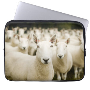 Housse Pour Ordinateur Portable Fermes Troupeau de moutons