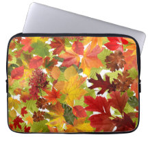 Feuilles automnales d'automne