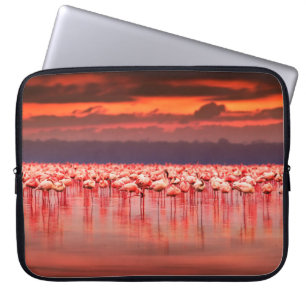 Housse Pour Ordinateur Portable Flamants africains dans le lac sur le beau soleil