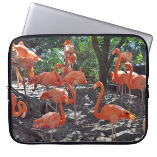 Housse Pour Ordinateur Portable Flamants roses roses