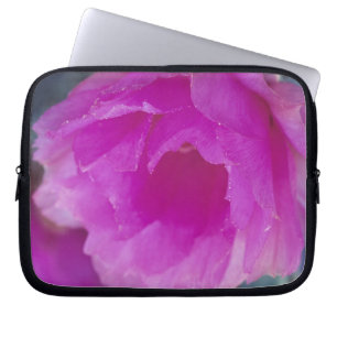 Housse Pour Ordinateur Portable Fleur de Cactus Hérisson Rose (Echinocereus