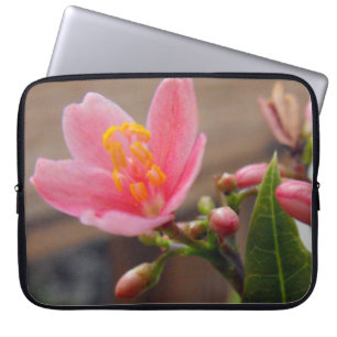 Housse Pour Ordinateur Portable Fleur de Jatropha Rose Clair