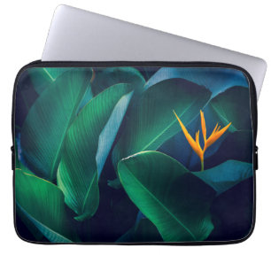 Housse Pour Ordinateur Portable Fleurs Oiseau du paradis