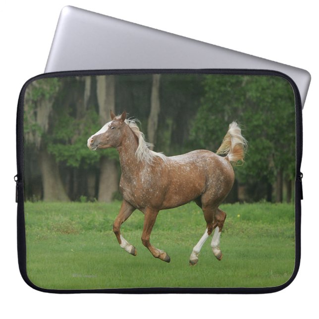Housse Pour Ordinateur Portable Fonctionnement de cheval d'Appaloosa (Devant)