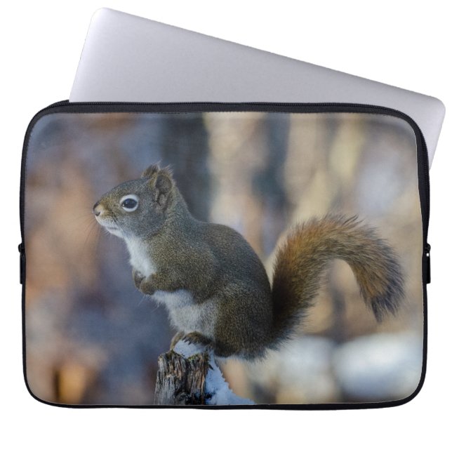 Housse Pour Ordinateur Portable Forgée : Écureuil canadien d'hiver (Devant)