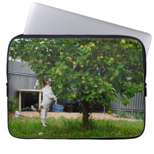 Housse Pour Ordinateur Portable Fox Terrier Le Leap, Manche Ordinateur Portable