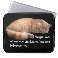 Gingembre Dormir Chat Funny Wake Me Citation