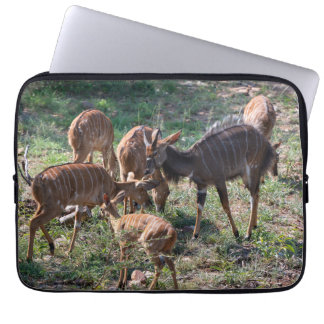Housse Pour Ordinateur Portable Graceful Nyala Antelope en Afrique