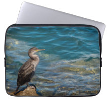 Grand Cormorant Sur Les Rochers