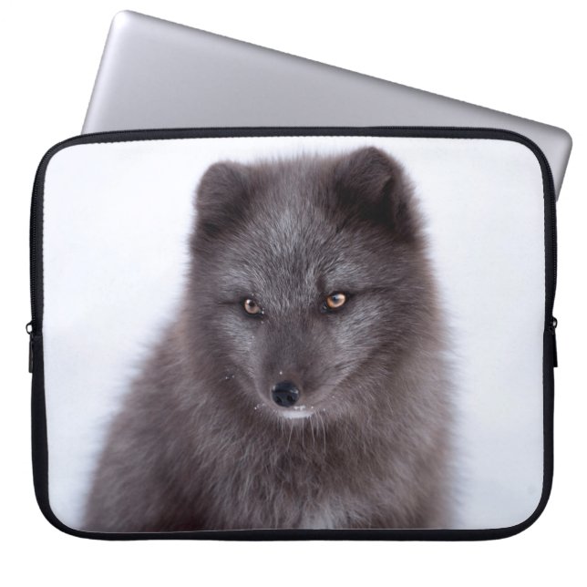 HOUSSE POUR ORDINATEUR PORTABLE GRAY FOX (Devant)