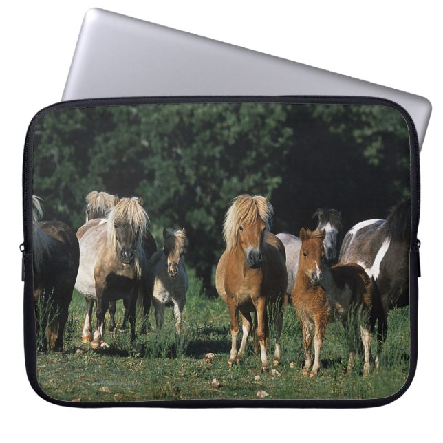 Housse Pour Ordinateur Portable Groupe de poulains miniatures (Devant)