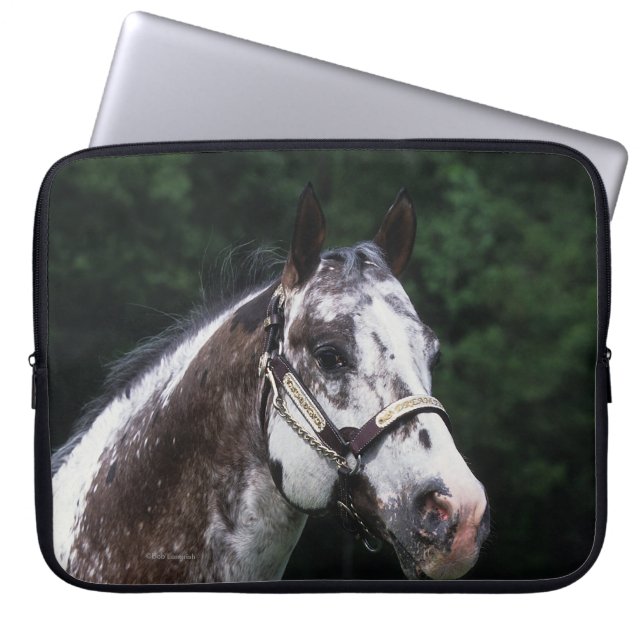 Housse Pour Ordinateur Portable Headshot 2 de cheval d'Appaloosa (Devant)