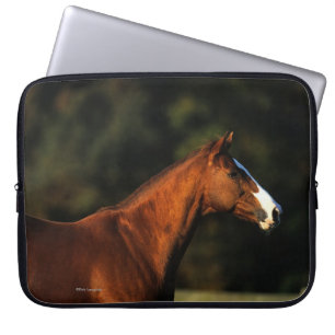 Housse Pour Ordinateur Portable Headshot de cheval de pur sang