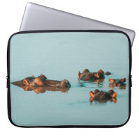 HIPPOS REFROIDISSANT DANS LE BARRAGE