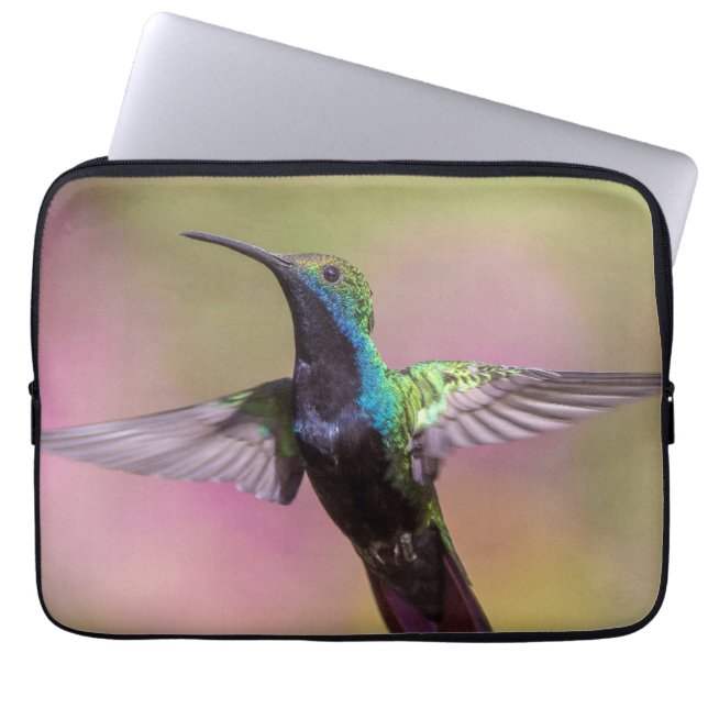 Housse Pour Ordinateur Portable Humming Bird (Devant)