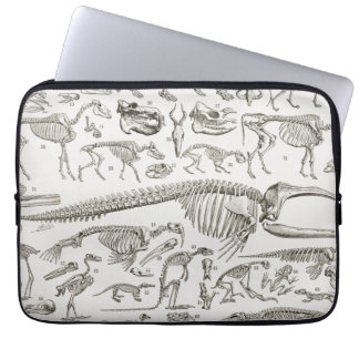 Housse Pour Ordinateur Portable Illustration vintage des os humains et animaux