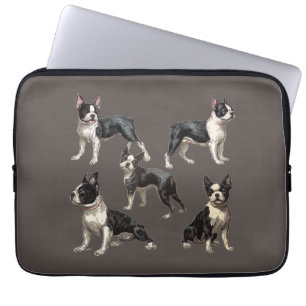 Housse Pour Ordinateur Portable Illustrations Vintage de Boston Terriers sur Taupe