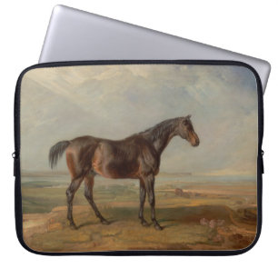 Housse Pour Ordinateur Portable James Ward - Dr Syntax, un hippocampe de course de