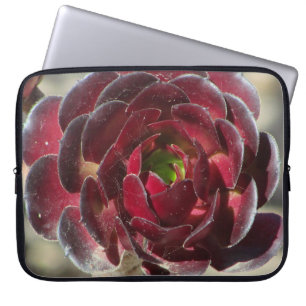 Housse Pour Ordinateur Portable Jardin de photos Succulent du désert Plante du jar