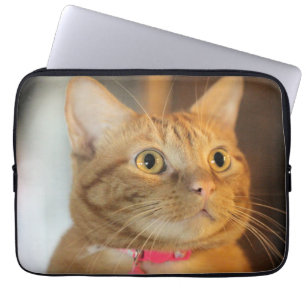 Housse Pour Ordinateur Portable Joli Penny