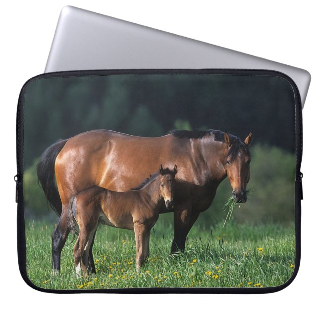 Housse Pour Ordinateur Portable Jument et poulain 1 de pur sang (Devant)