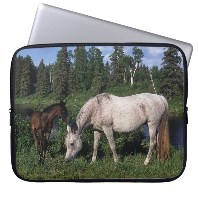 Housse Pour Ordinateur Portable Jument et poulain arabes 2 (Devant)