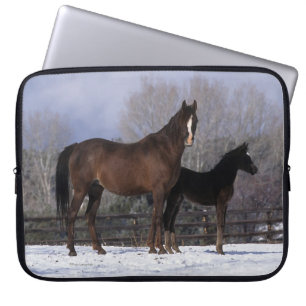Housse Pour Ordinateur Portable Jument et poulain arabes dans la neige